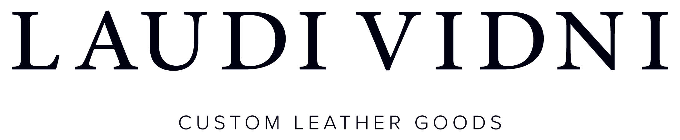 LaudiVidni-Logo-WordTag-Black-2022 (1)